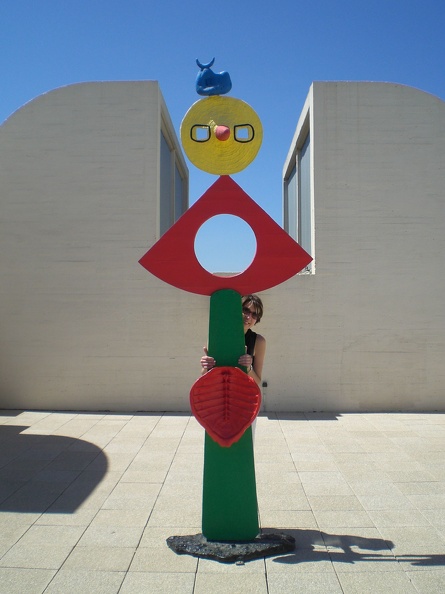 Miró museum rooftop #5 with friend