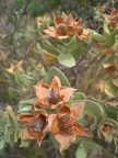 Along the trails of Montserrat