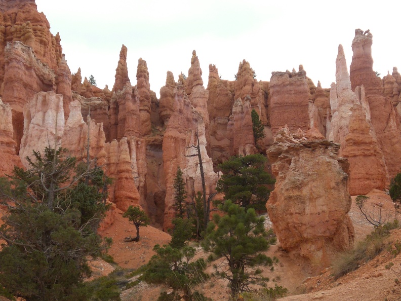 I ended up hiking through a couple of miles of trail from Sunrise to Sunset points through the canyon. This was contrary to my original plan, given the light rain and incoming lightning storm. However, a tour guide leading a large gaggle of tourists mentioned his favorite spot in the entire park was just down this one trail... So I jumped down ahead of them, and kept an eye out behind me. I think this is what he meant, and it was pretty cool. flickr-ginsnob-1012912719.jpg