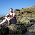 Robin in the tide pools