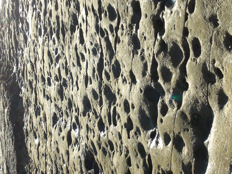 Tidal Rock Texture