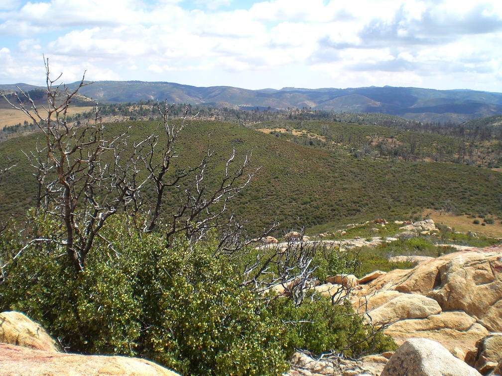 From the Summit