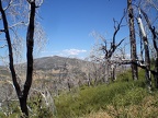 View from the Trail