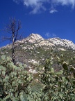 Peak from the Trail Below