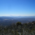 Plume on the Horizon