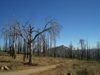 Stonewall Peak