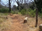 Connector to East Side Trail