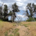 Crest near the end of the trail