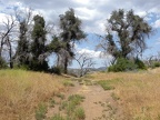 Crest near the end of the trail