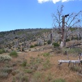 Christy on the mountain side