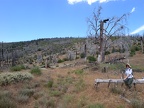 Christy on the mountain side