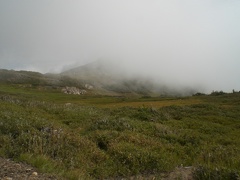 Fog in the Mountains