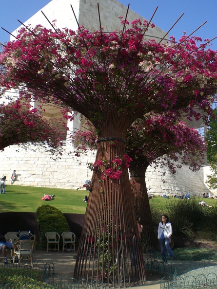 Flowers in Iron