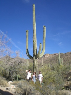 Hikers under Cactus