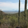 Mountains in the Desert