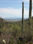 Mountains in the Desert