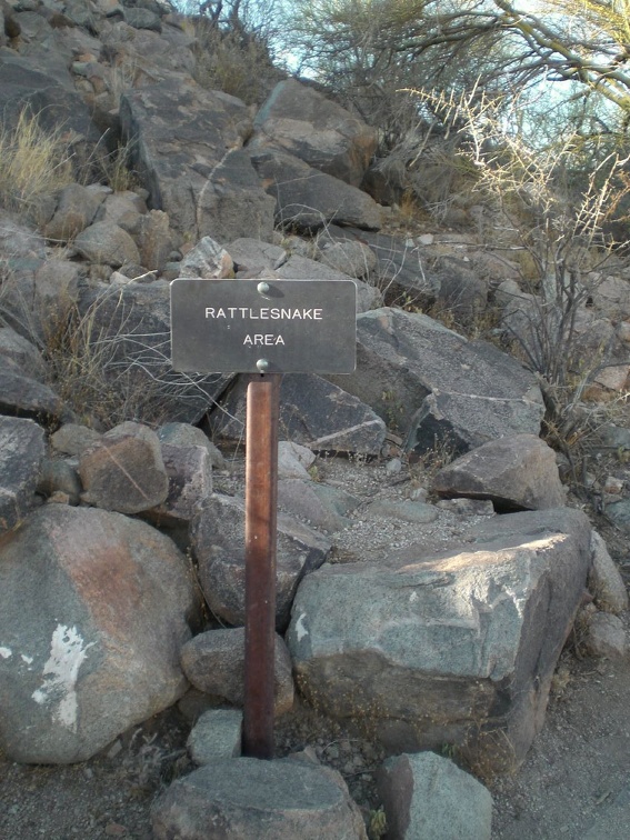 Rattlesnake Area