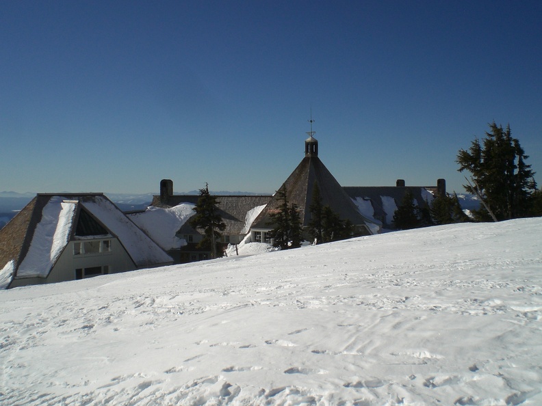 Timberline from Above