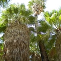 Looking UP