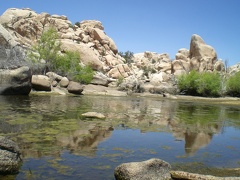 Still water at Baker Dam