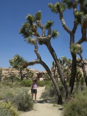 Christy notes a tree!