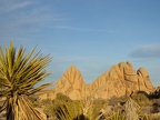 Jumbo Rocks on the Skull Rock Trail