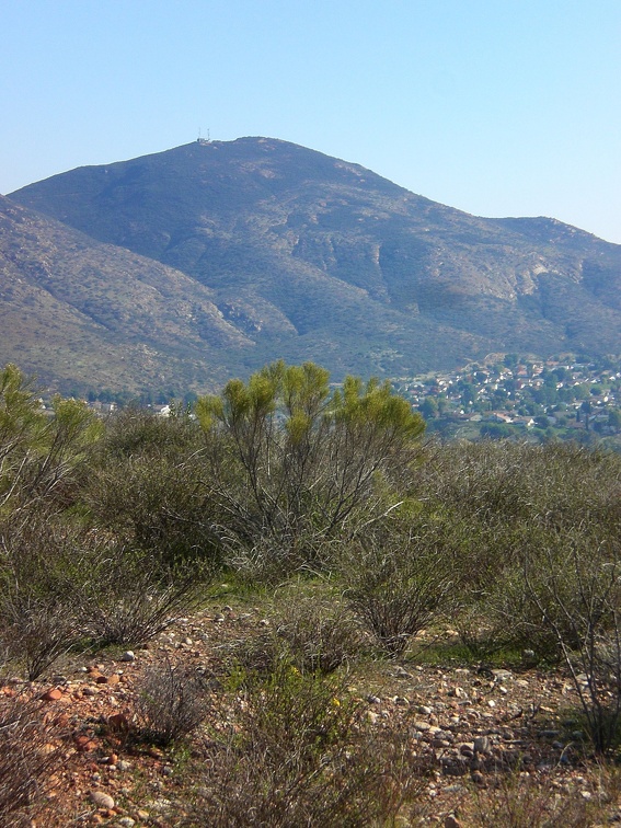 Cowles from Rim Trail