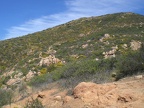 Yellow Hillside