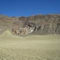 Ocotillo