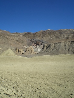 Ocotillo