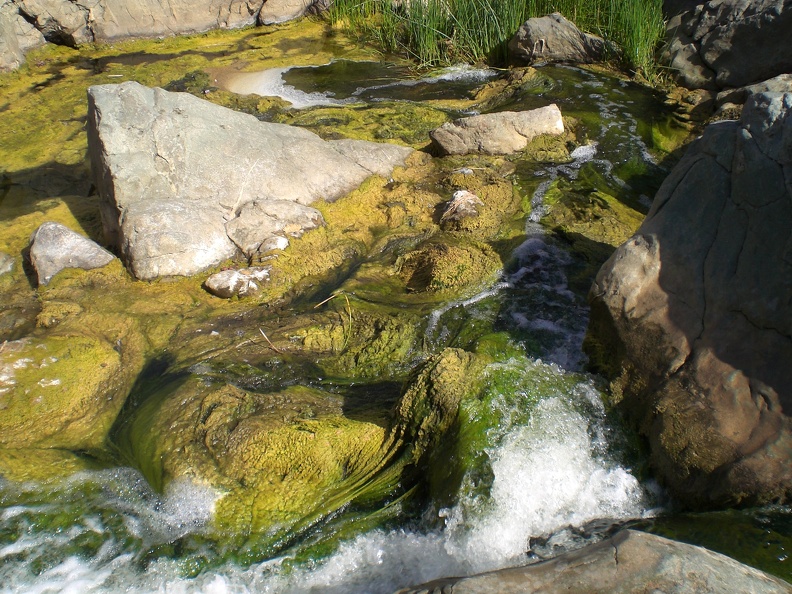 Scenic Waterfall