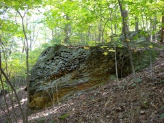 Pitted Rock