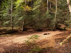 Fall in Hocking Hills