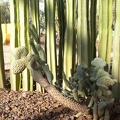 DSCN0327