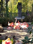 San Diego Zoo