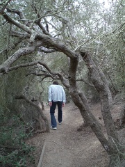Secret Passage