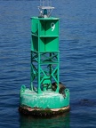 Sea Lion Buoy