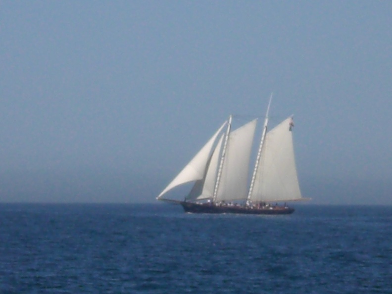 Schooner