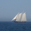 Schooner