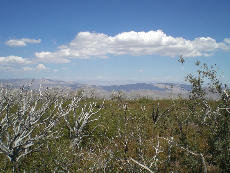 Cloud Shadows Over Burnt Forest