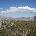 Cloud Shadows Over Burnt Forest