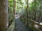 Congaree National Park