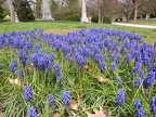 Spring Grove Cemetery