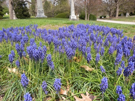 Spring Grove Cemetery