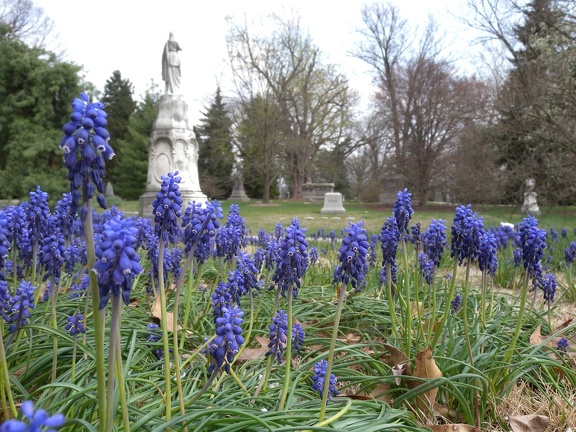 Spring Grove Cemetery