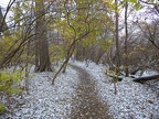 First Snowfall