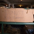 Do Not Run Turkeys