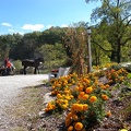 Fall