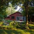 View from Back Yard