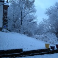 Backyard Snowfall